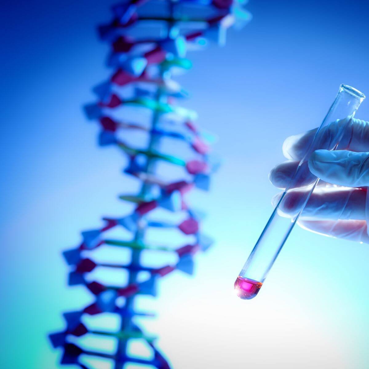 Longevity 1 Genetic Test
