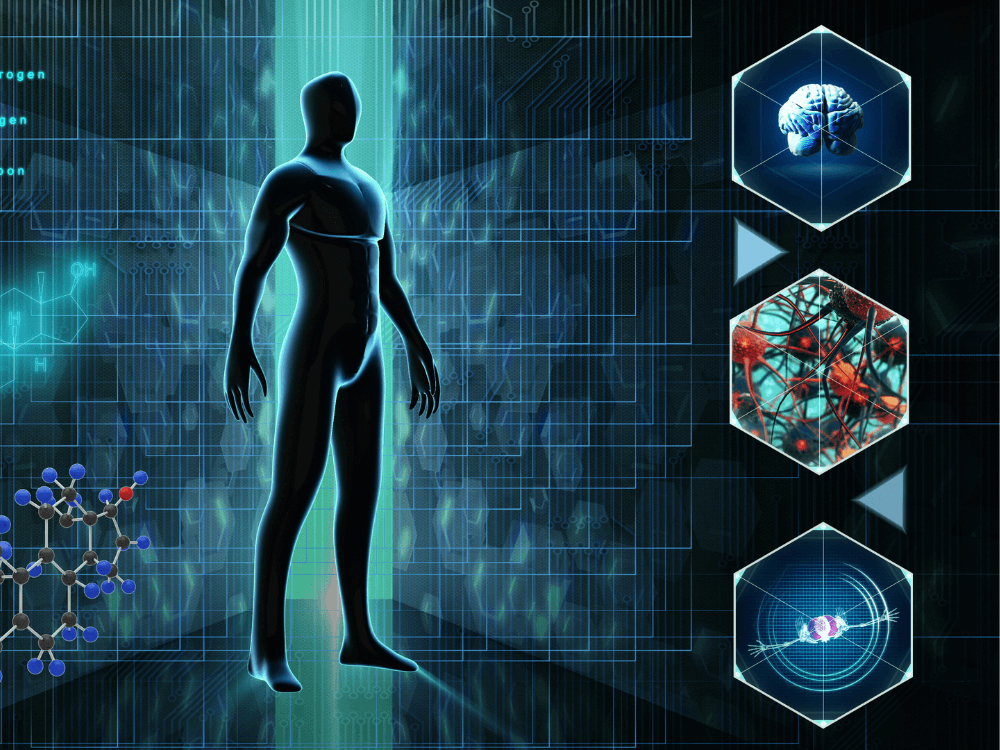 Body Composition Scan At Mediglo